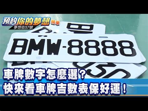 車牌號碼 吉凶|車牌吉數查詢：你的車牌號碼帶來好運了嗎？ 